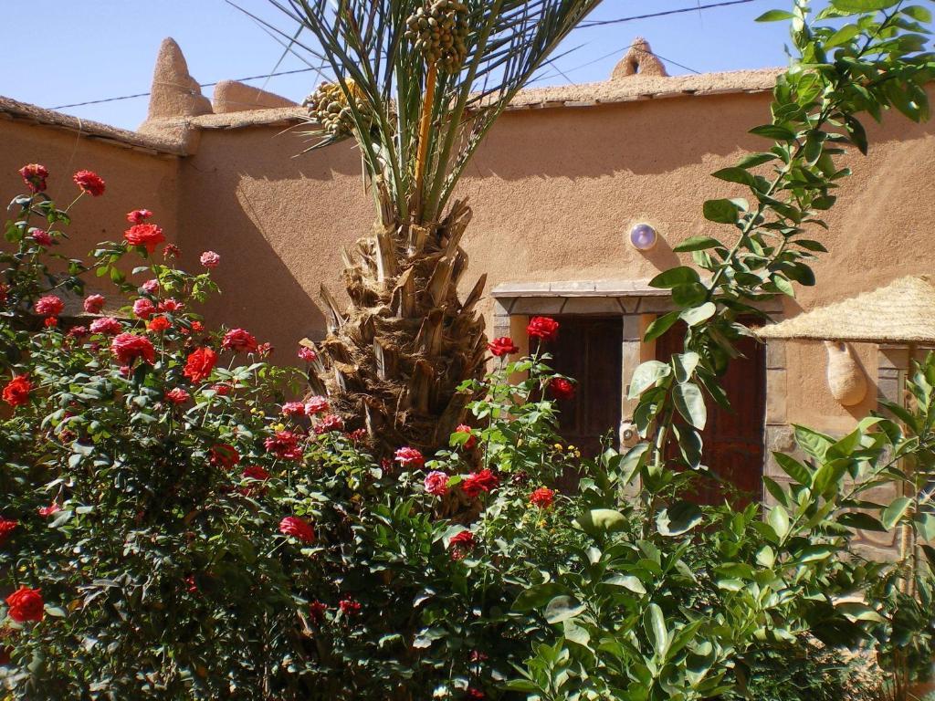 Maison D' Hotes Ait Hmid Nkob Dış mekan fotoğraf