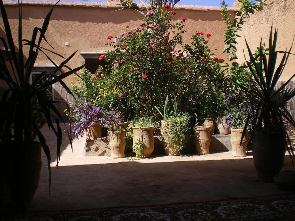 Maison D' Hotes Ait Hmid Nkob Dış mekan fotoğraf