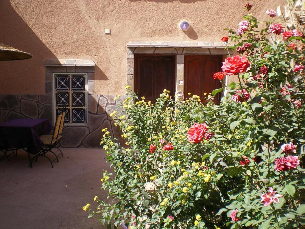 Maison D' Hotes Ait Hmid Nkob Dış mekan fotoğraf