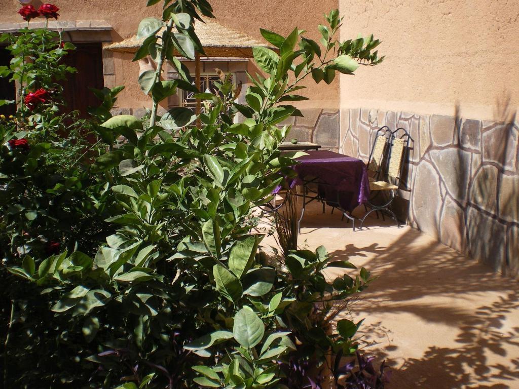 Maison D' Hotes Ait Hmid Nkob Dış mekan fotoğraf