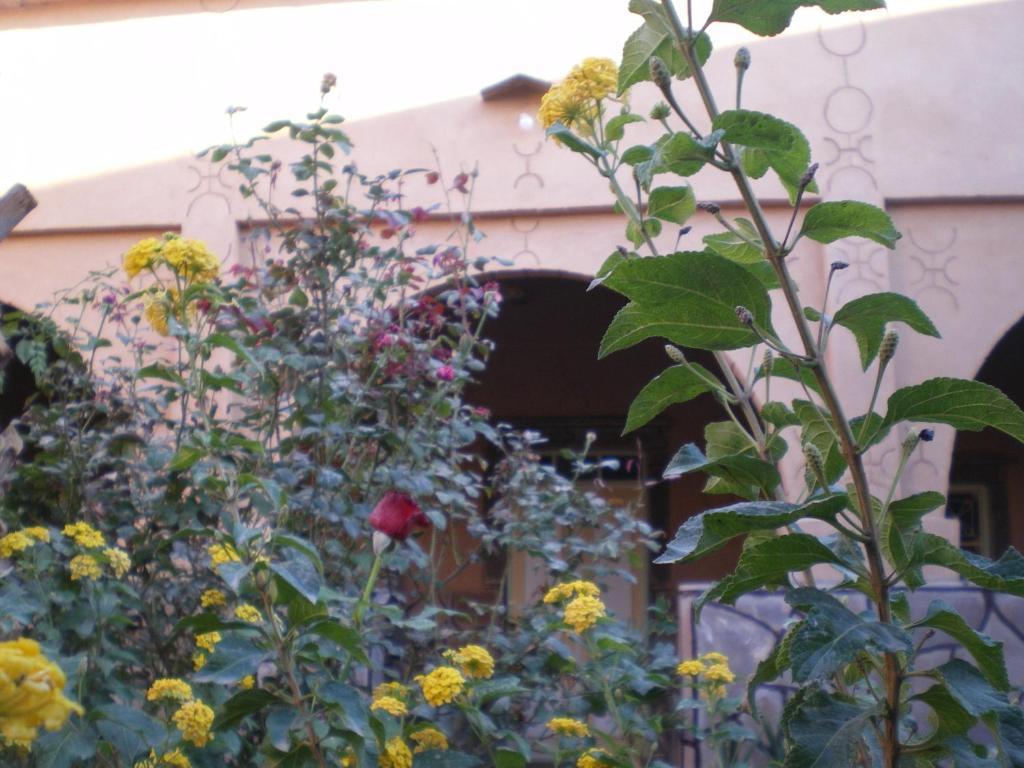 Maison D' Hotes Ait Hmid Nkob Dış mekan fotoğraf