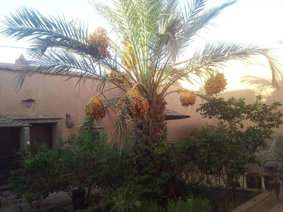 Maison D' Hotes Ait Hmid Nkob Dış mekan fotoğraf